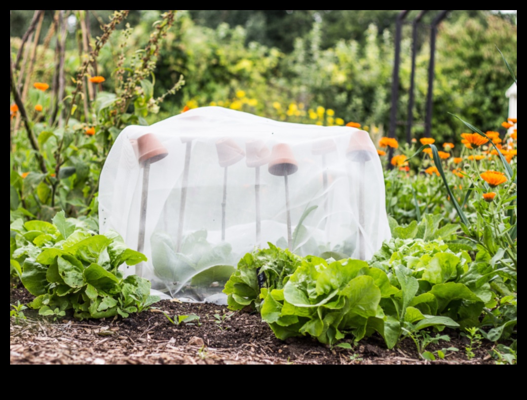 Oaza organică: cultivarea sănătății în sanctuarul din grădina dvs