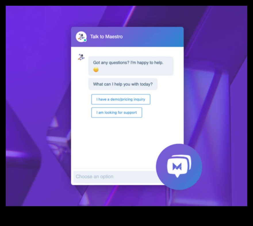 Maestrul Analytics: Îndrumarea publicului către succesul digital