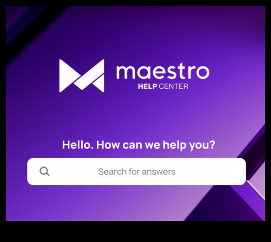 Maestrul Analytics: Îndrumarea publicului către succesul digital