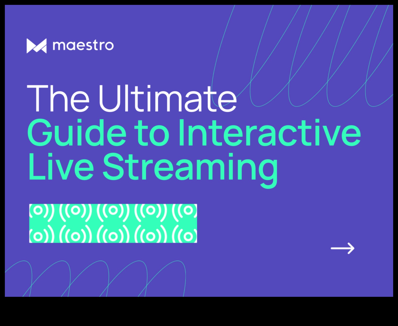 Maestrul Analytics: Îndrumarea publicului către succesul digital