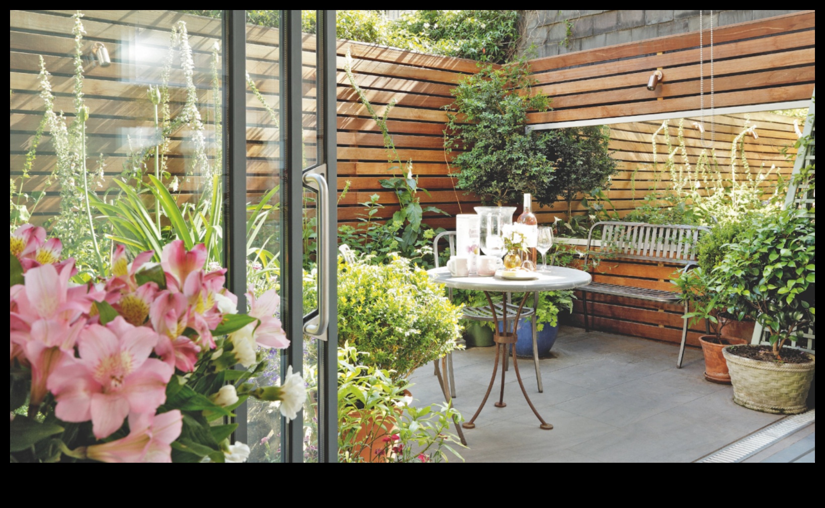 Ridică-ți grădina: sfaturi de experți pentru verdeață din belșug