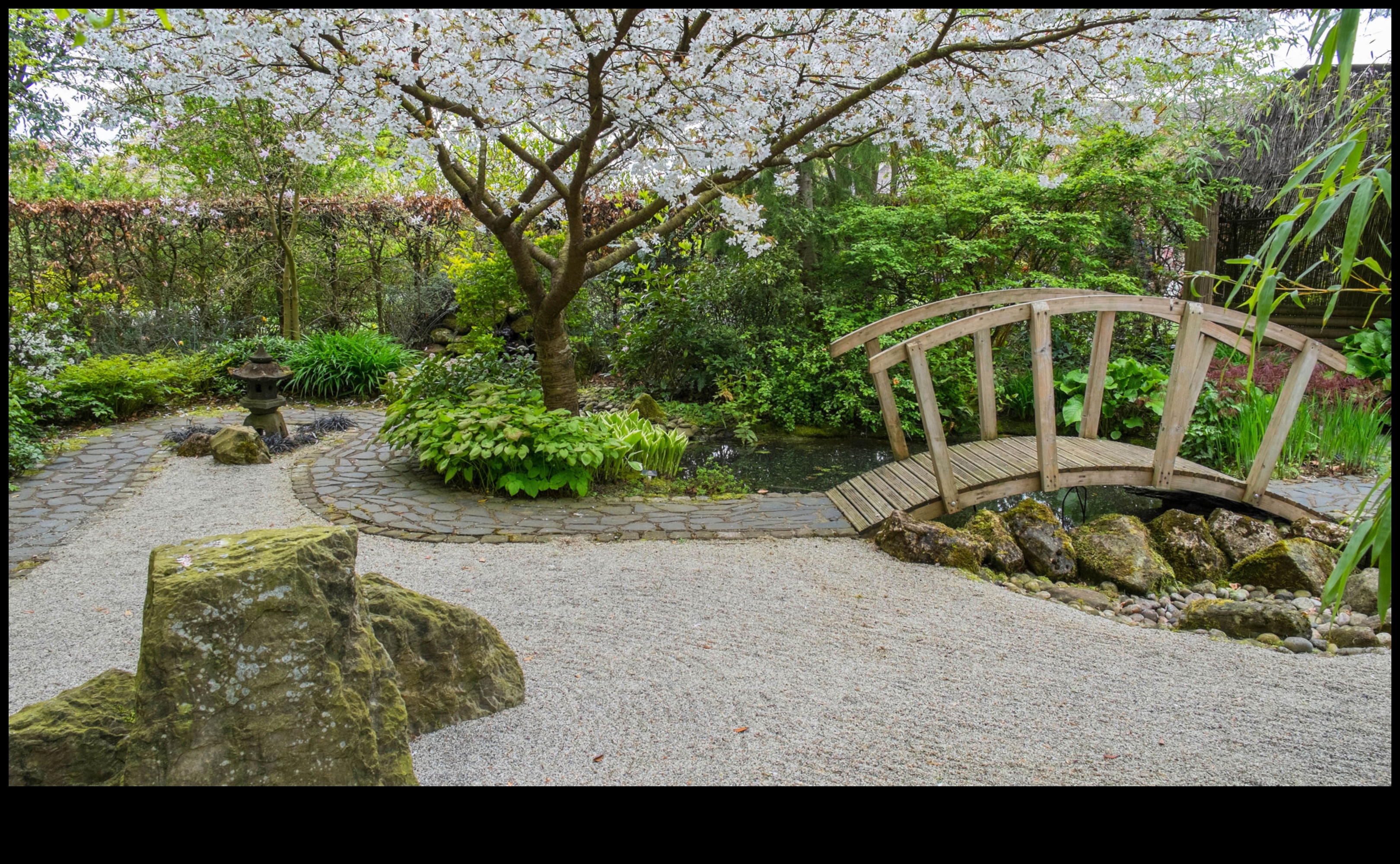 Brize de bambus: secrete de grădinărit japonez