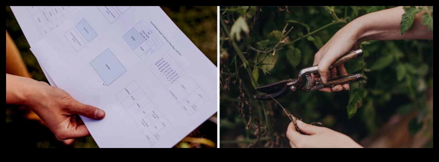 Harvest Happiness: Sfaturi practice pentru o grădină bogată