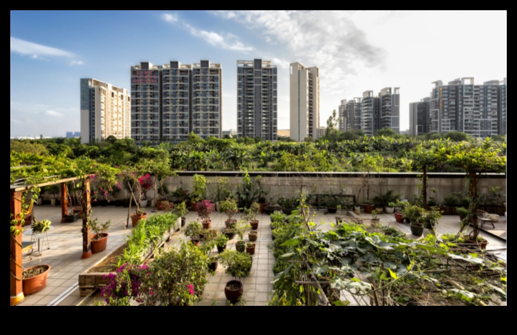 Peisaje urbane durabile Inovații în grădinărit urban pentru un viitor mai ecologic 5 Peisaje urbane durabile: inovații în grădinărit urban