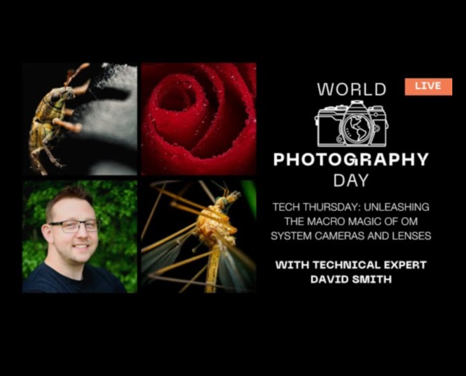 Macro Magic: Camere pentru captarea micilor detalii