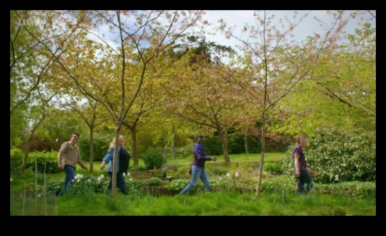 Tovarăși Verzi: Secretele unei armonii de succes în grădină