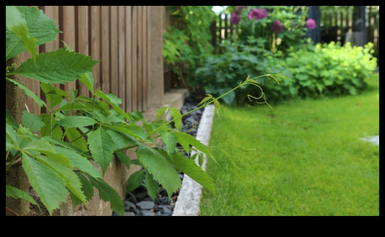 Tovarăși Verzi: Secretele unei armonii de succes în grădină