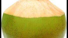 Aventuri DIY cu apă de nucă de cocos: creați băuturi unice și aromate