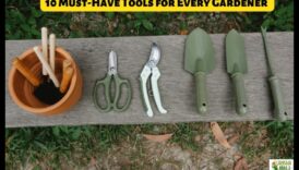 Cultivați bucuria: unelte de grădină indispensabile pentru entuziaști