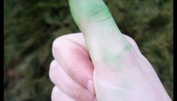 Green Thumb Gems: minuni de bricolaj pentru grădina ta fermecată