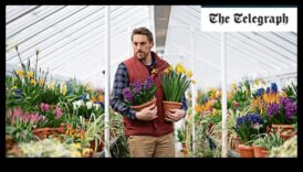 Blossom Beyond Borders: Oaza ta cu seră