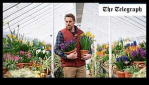 Blossom Beyond Borders: Oaza ta cu seră