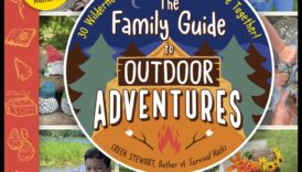 Aventurile de influență: navigarea în sălbăticia campaniilor digitale