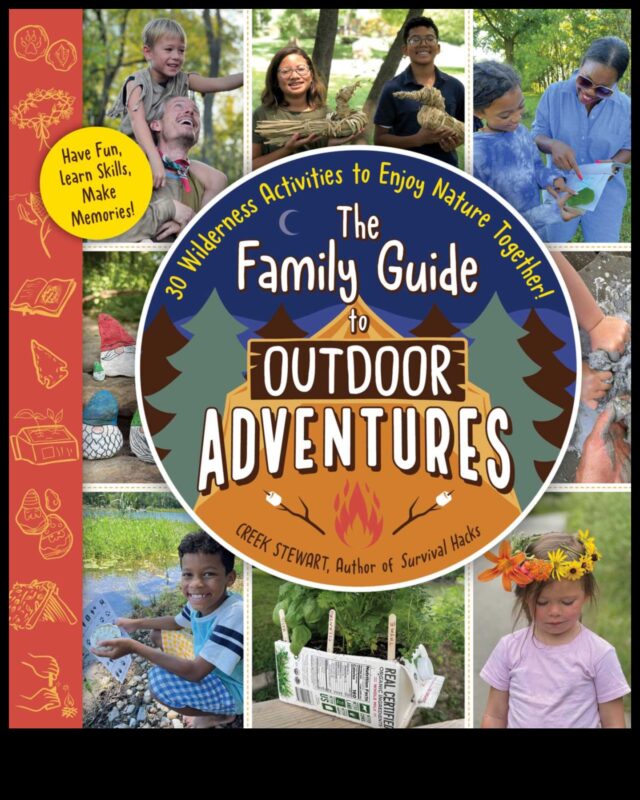 Aventurile de influență: navigarea în sălbăticia campaniilor digitale