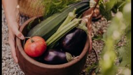 Harvest Happiness: Sfaturi practice pentru o grădină bogată
