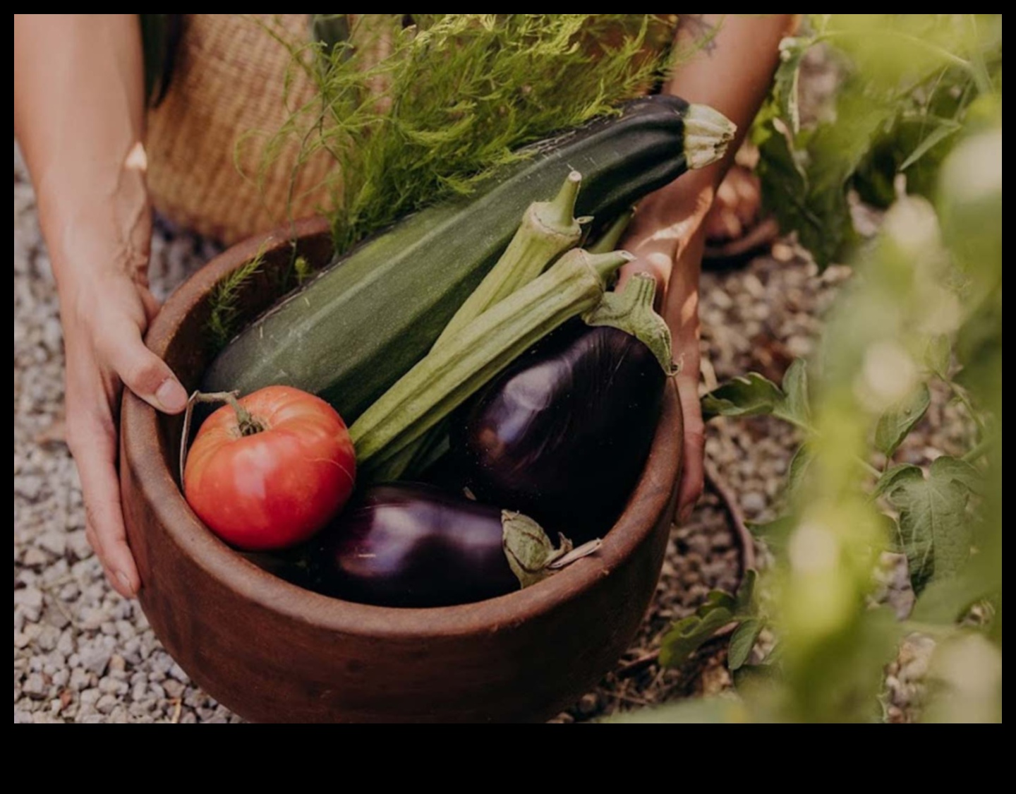 Harvest Happiness: Sfaturi practice pentru o grădină bogată