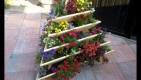 Ascend to Blossom: The Allure of Vertical Gardening