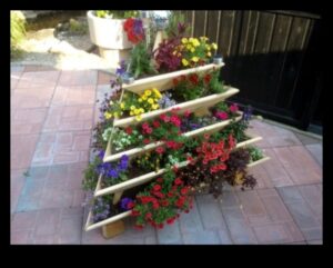 Ascend to Blossom: The Allure of Vertical Gardening