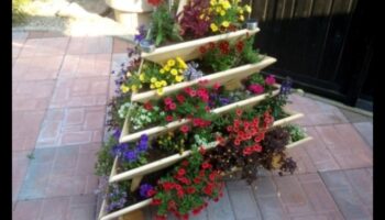 Ascend to Blossom: The Allure of Vertical Gardening